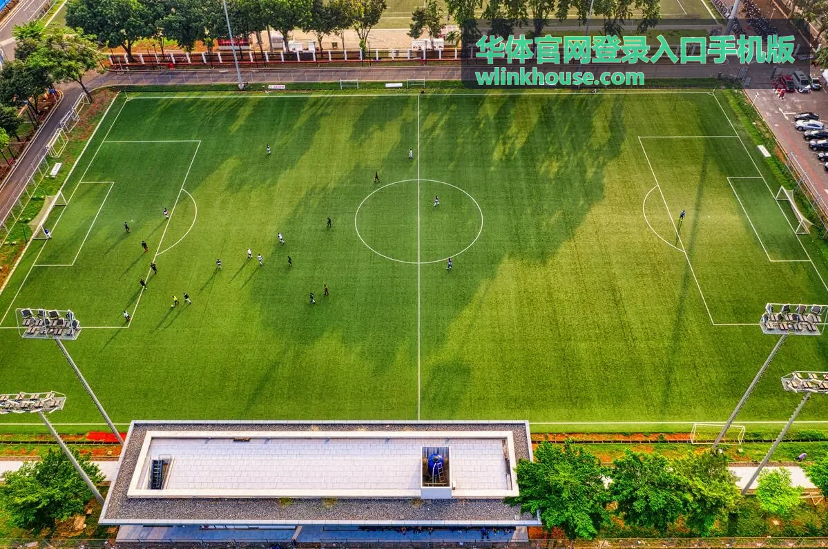 华体官网登录入口手机版窄屏浏览效果